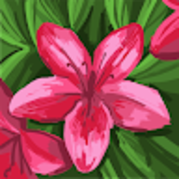 irmastamps62